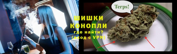 молекула духа Волосово