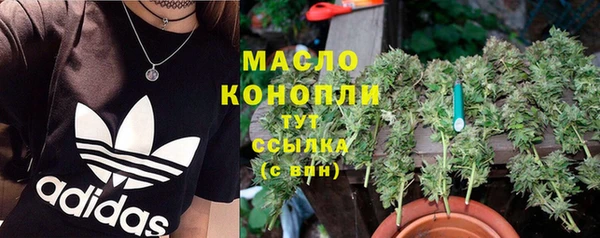 молекула духа Волосово