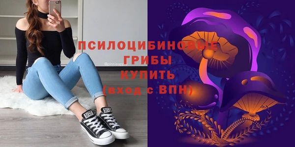 молекула духа Волосово