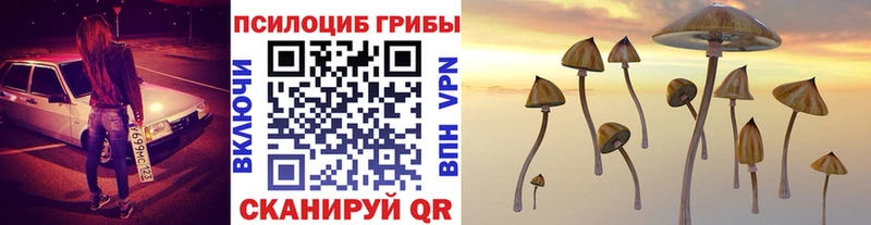 hydra зеркало  Электроугли  Псилоцибиновые грибы мухоморы 